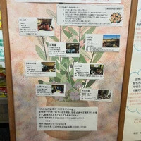 画像235