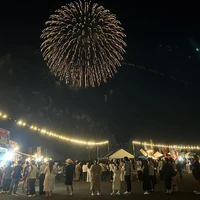 画像244